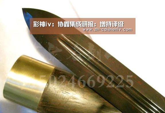 彩神iv:协鑫集成研报:增持评级(图3) 彩神iv