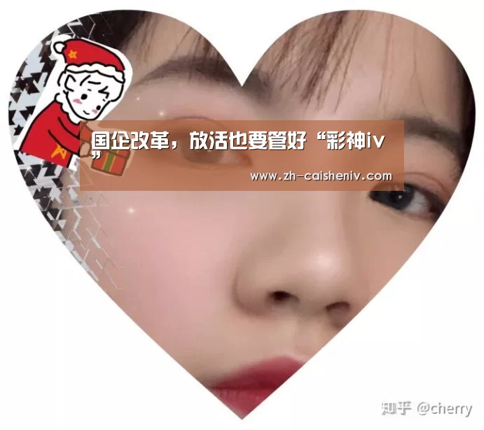 国企改革,放活也要管好“彩神iv”(图2) 彩神iv