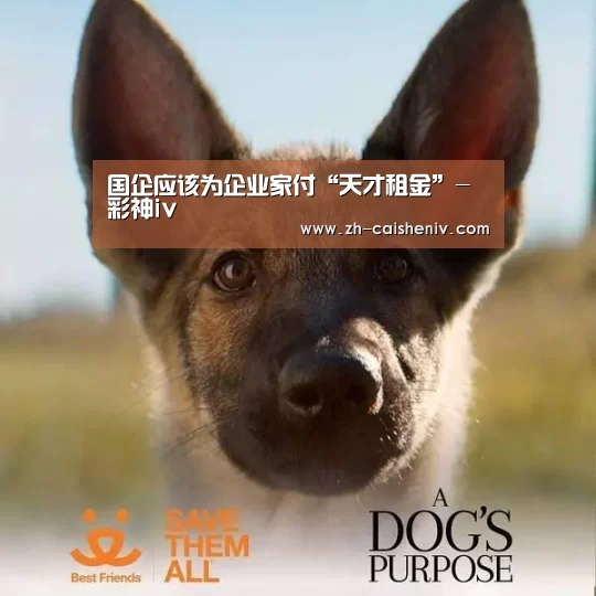 国企应该为企业家付“天才租金”-彩神iv(图1) 彩神iv